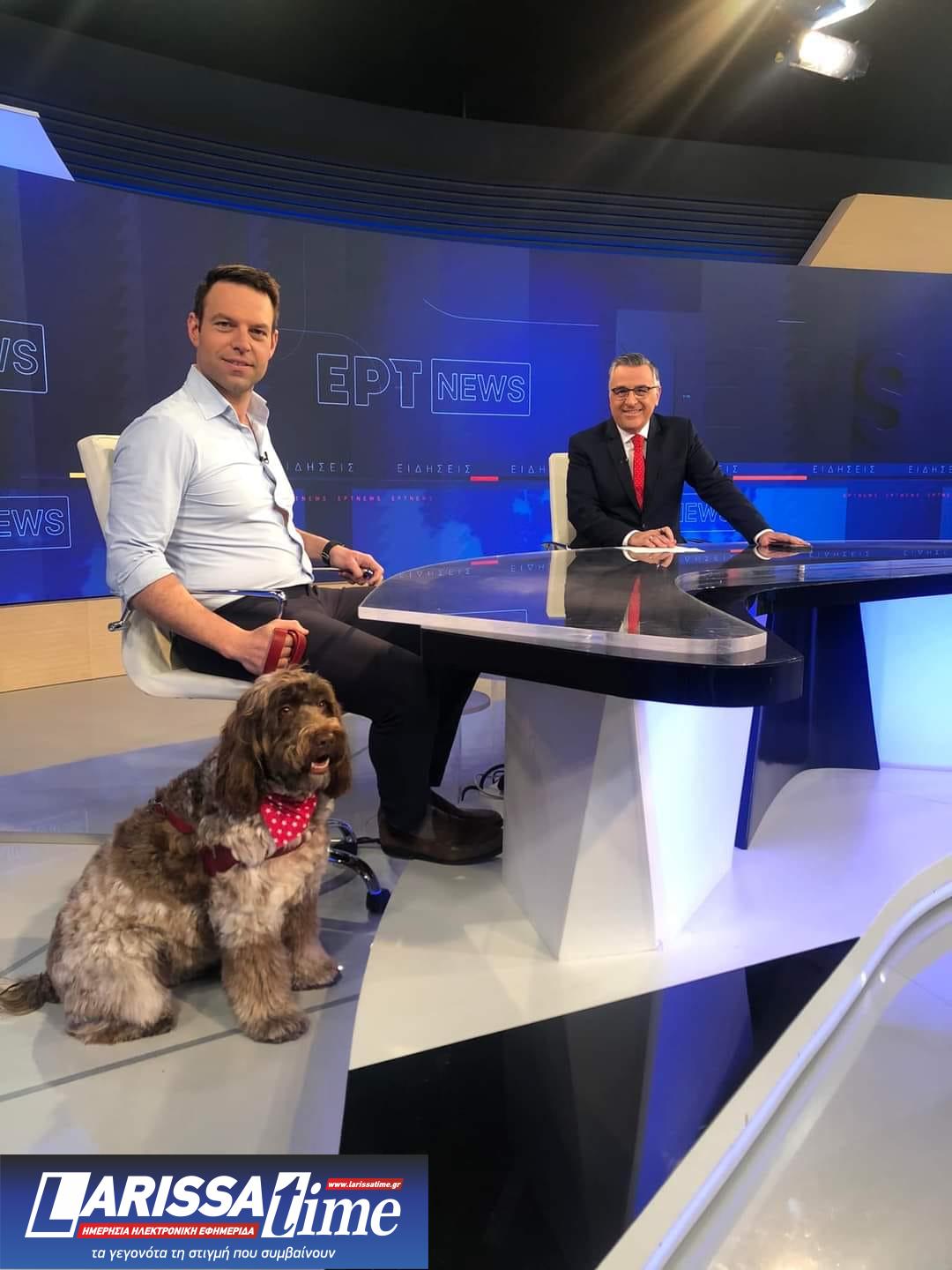 Στέφανος Κασσελάκης: «Δεν τίθεται θέμα αμφισβήτησης – Λάθος να μην έρθει στο συνέδριο ο Τσίπρας»-1