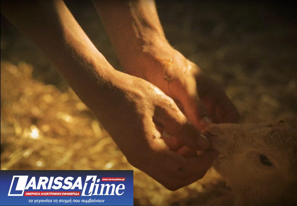 26ο Φεστιβάλ Ντοκιμαντέρ Θεσσαλονίκης: Οι ταινίες των διαγωνιστικών τμημάτων – 35 πρεμιέρες και «εισιτήριο» για το Όσκαρ