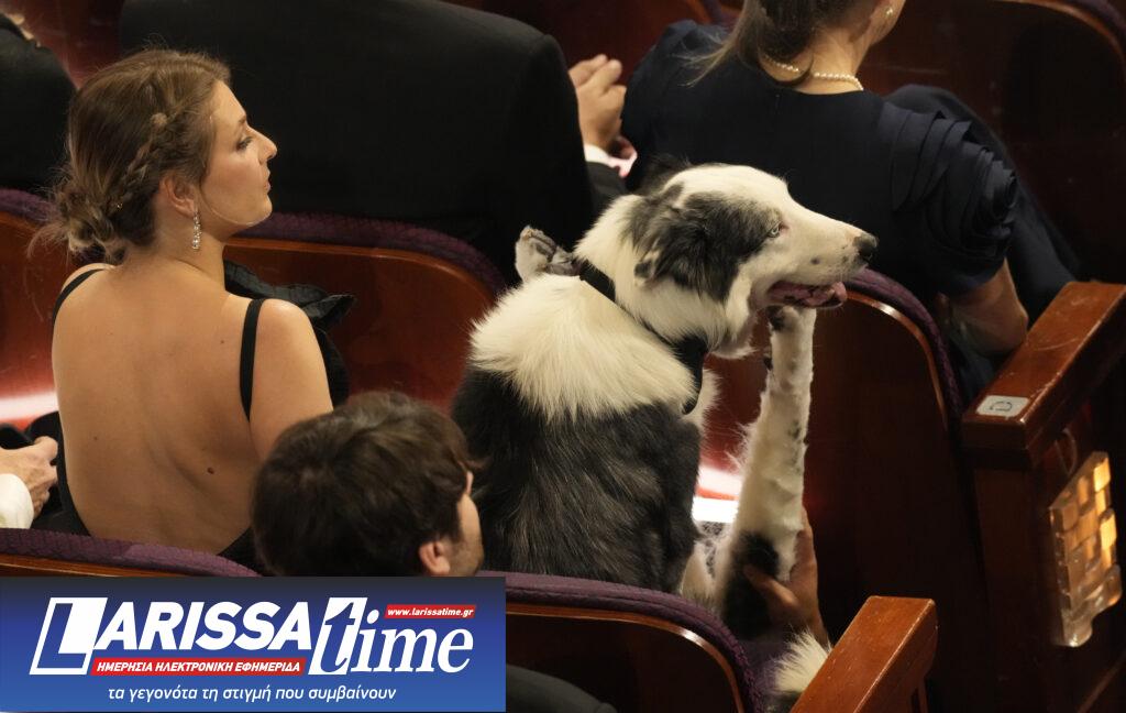 Όσκαρ 2024 – Τα highlights της βραδιάς: Το φερμουάρ της Έμμα Στόουν, ο γυμνός Τζον Σένα και τα καρφιά του Τζίμι Κίμελ