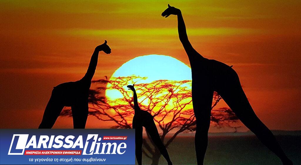 Moving Shadows: Ένα «ζωντανό» θέατρο σκιών στο Κέντρο Πολιτισμού Ελληνικός Κόσμος