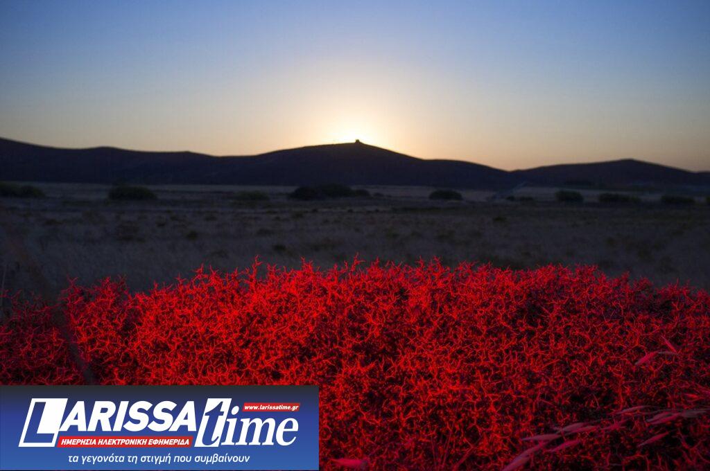 “Ελεύθερη ροή: Ένα βλέμμα στη Λήμνο”: Έκθεση με έργα του Χρ. Δημητρίου στον Χώρο Τέχνης Ώχρα Μπλε