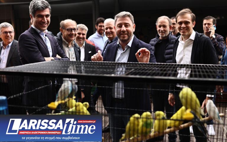 Ολοι νικητές, όπως στις φοιτητικές