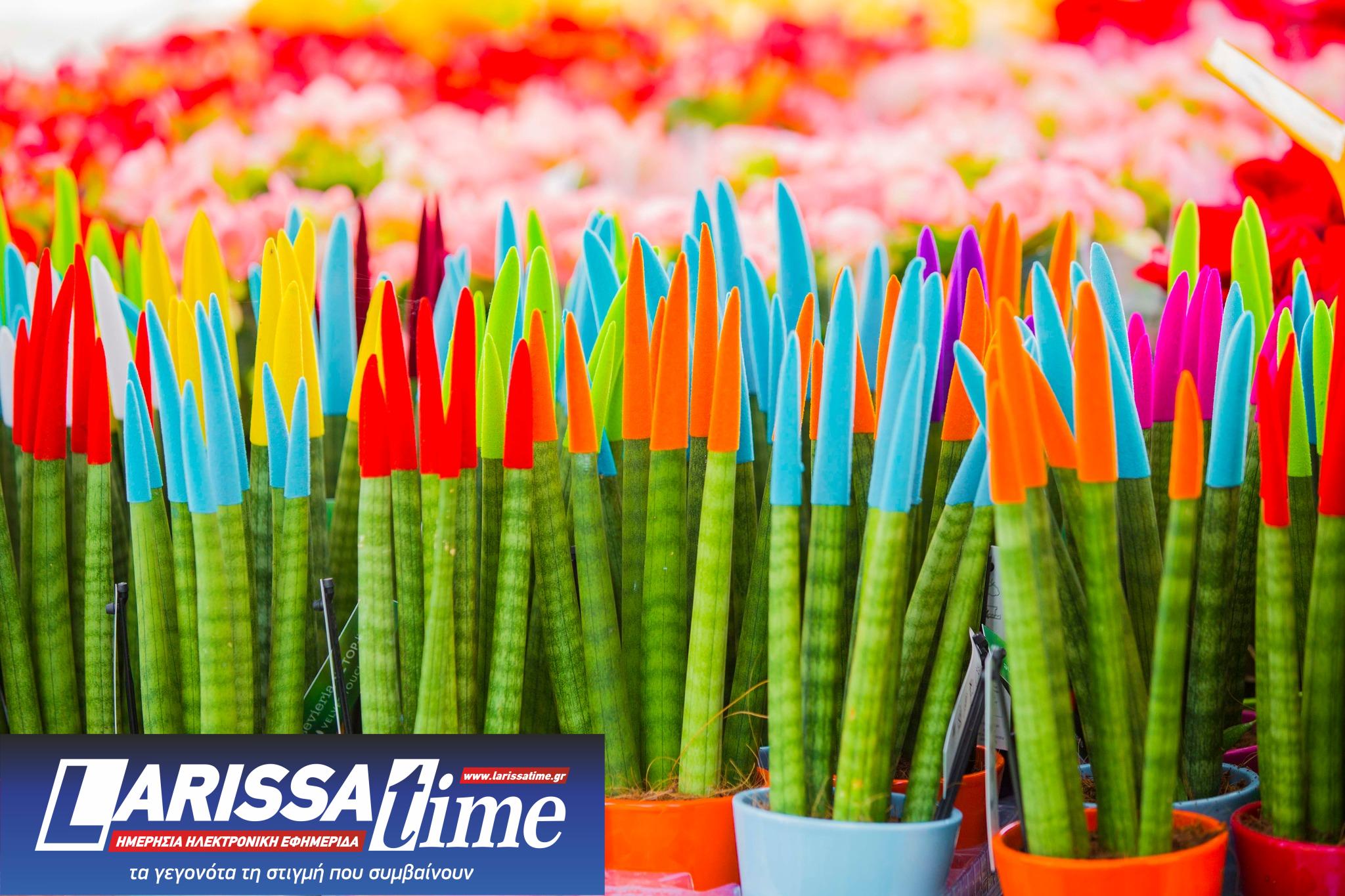 428497316_800561425444323_5606295786806670746_n 70η Ανθοκομική Έκθεση Κηφισιάς 2024 – Ανοίγει τις πύλες της στις 10 Μαΐου