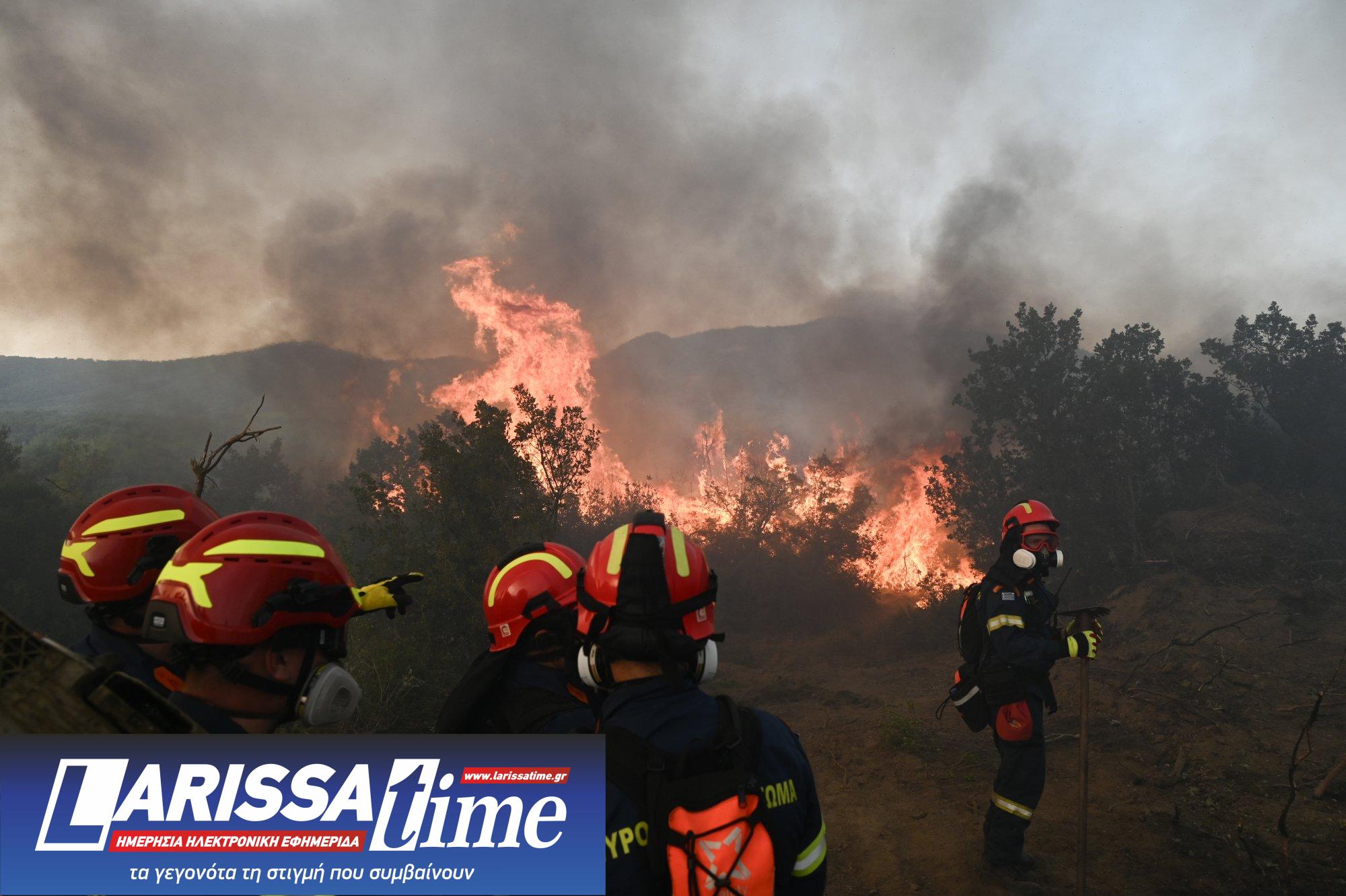 Φωτιά στη Βόλβη 