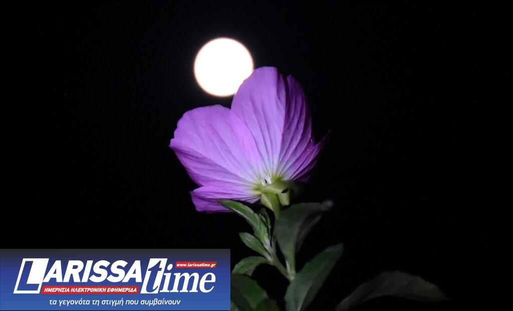 Πανσέληνος Ιουνίου: Μαγεύουν οι εικόνες από το «Φεγγάρι της Φράουλας»