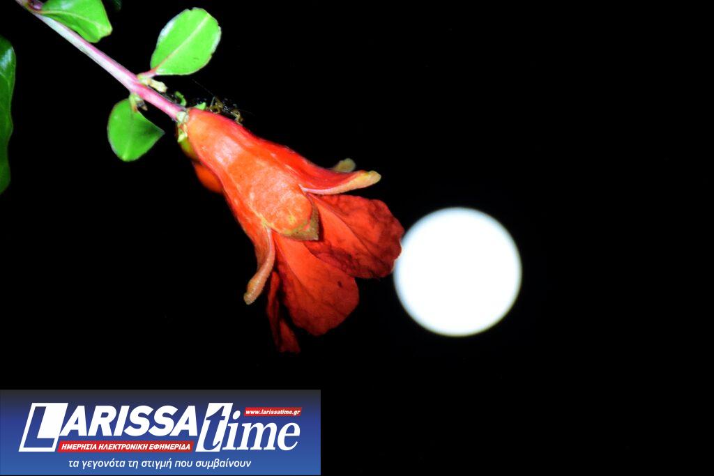 Πανσέληνος Ιουνίου: Μαγεύουν οι εικόνες από το «Φεγγάρι της Φράουλας»