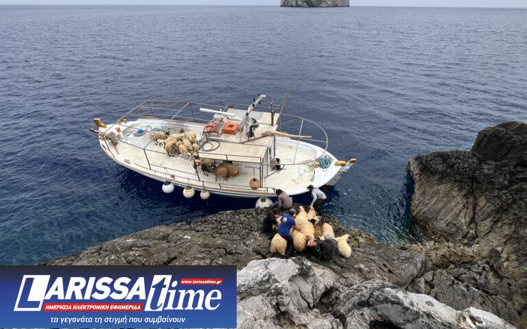 Αποστολή στο πάρκο της Σύρνας