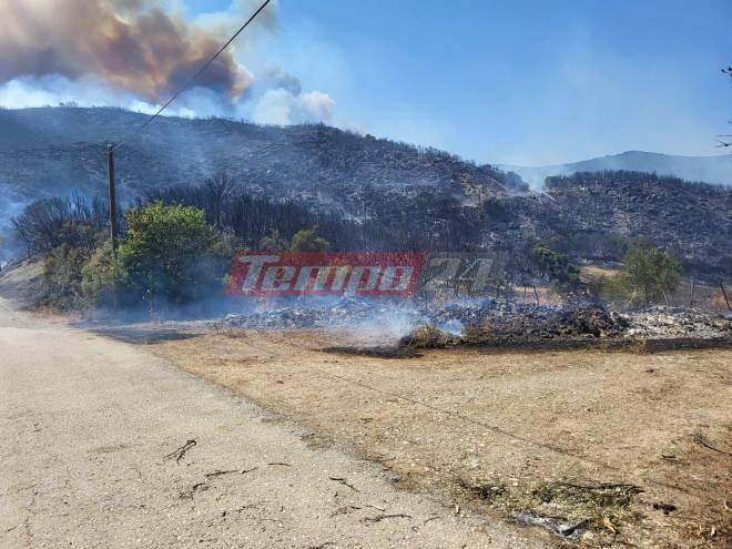 φωτιά- Ηλεία