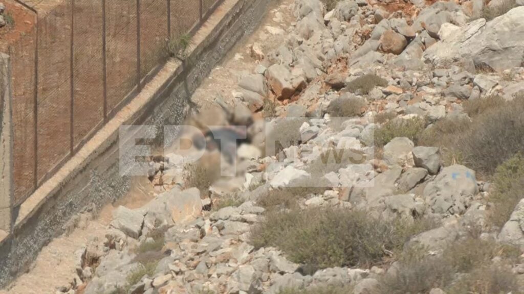 Σύμη Παρουσιαστής