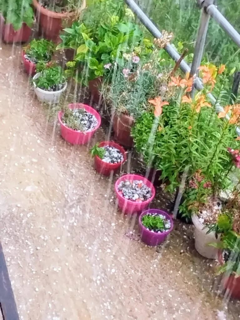 Χαλάζι Ύδρα