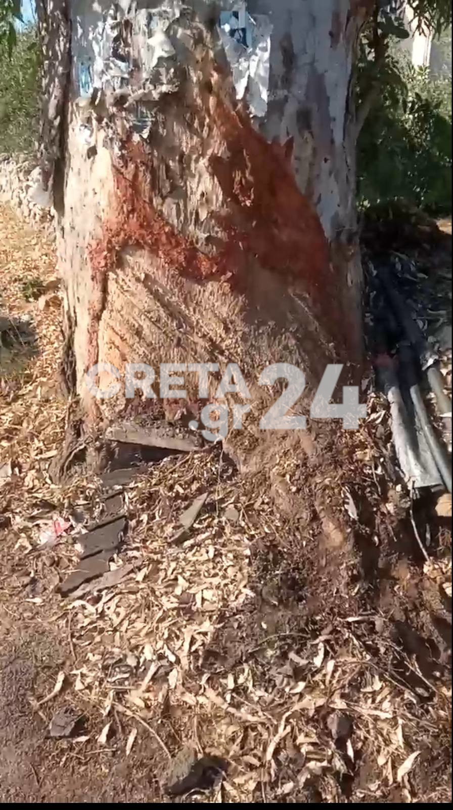 Τροχαίο στην Κρήτη