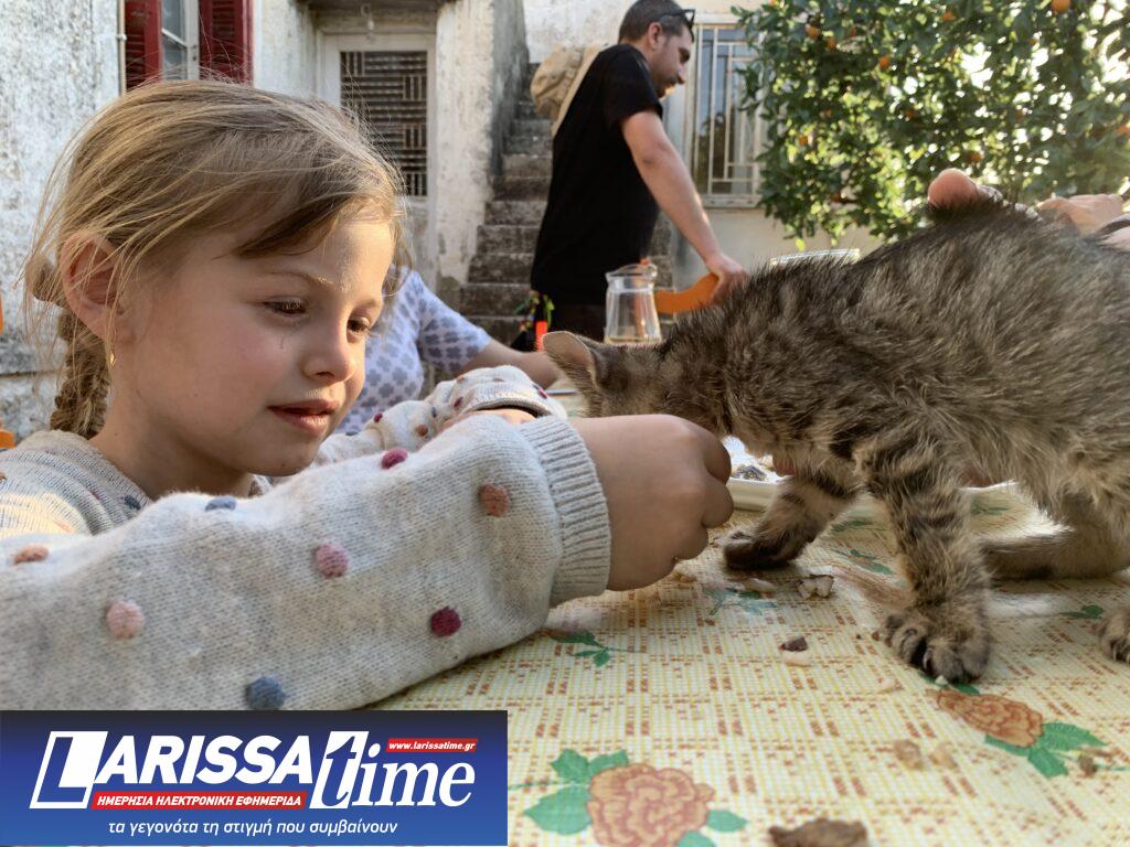 “Wishbone”: Από το διήγημα στην μεγάλη οθόνη