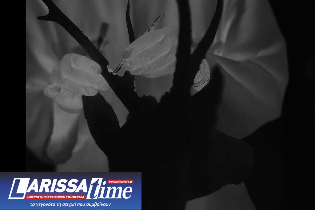 Το σύγχρονο πολιτιστικό κέντρο “Tabakalera” φιλοξενεί την έκθεση της Τζέσικα Σάρα Ρίνλαντ