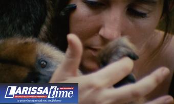 Το σύγχρονο πολιτιστικό κέντρο “Tabakalera” φιλοξενεί την έκθεση της Τζέσικα Σάρα Ρίνλαντ