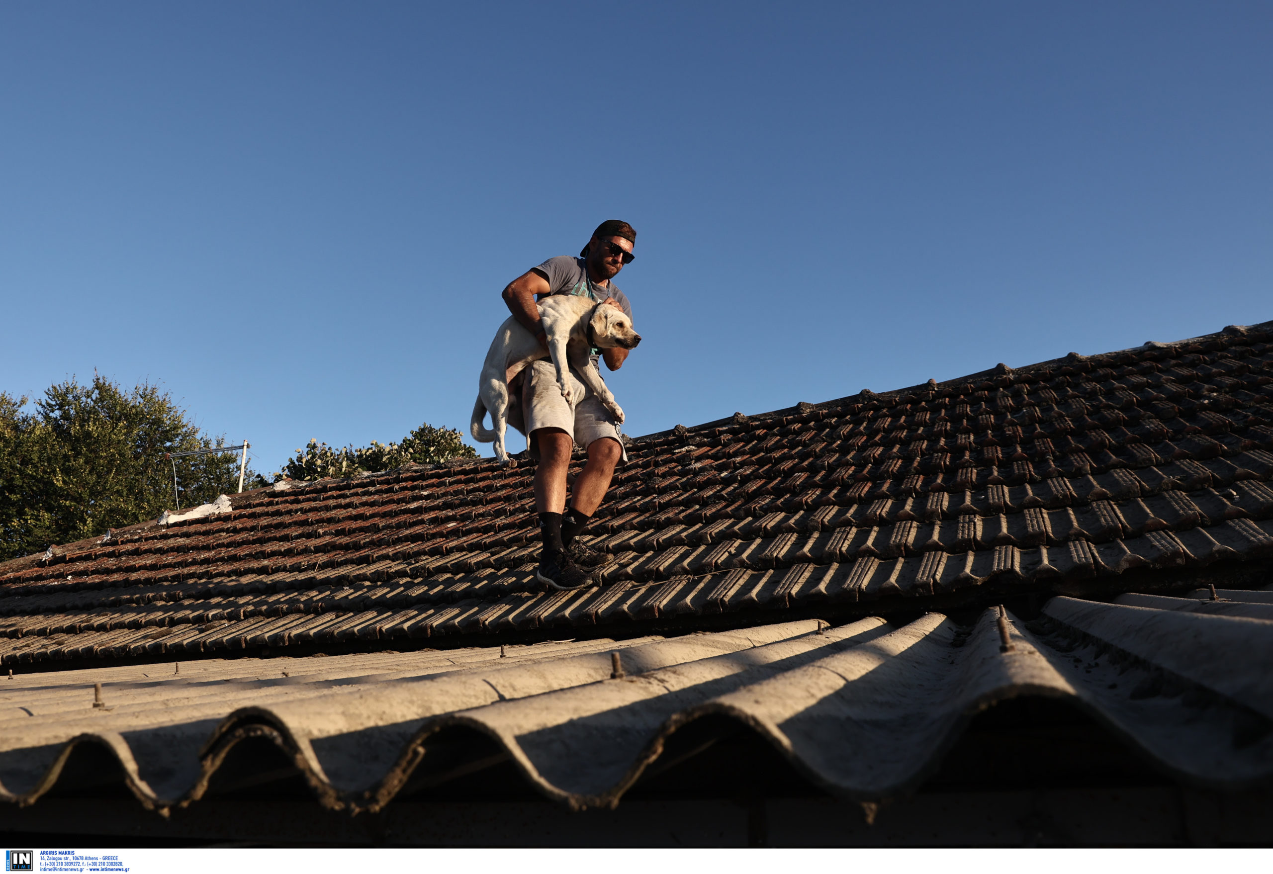 Μεταμόρφωση Καρδίτσας