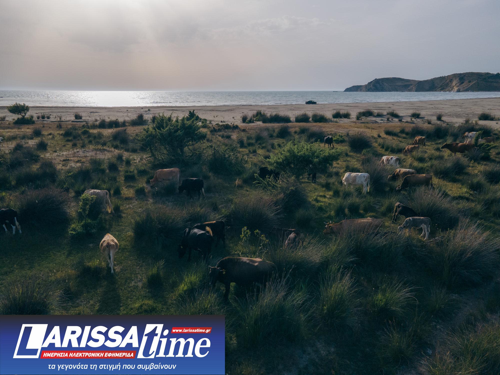 «Αυτή η γη έχει τον ιδρώτα μας»-1
