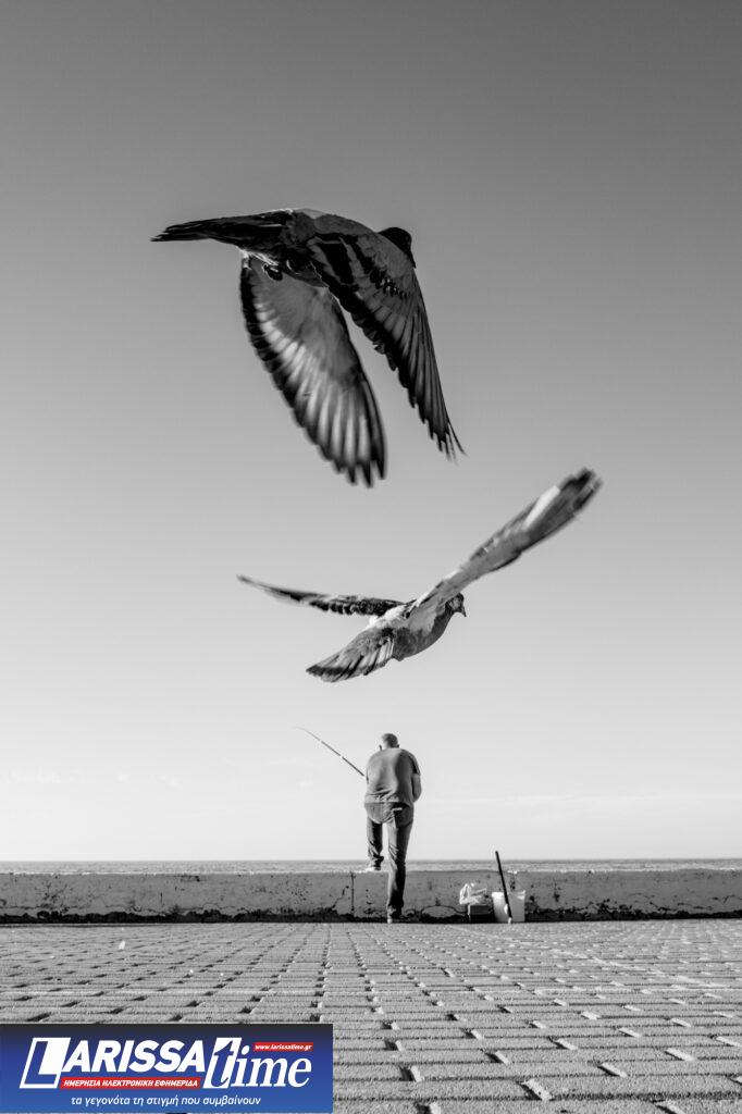 Jazz στο Μουσείο: “Workin’ Trio” του Χάρη Ιωάννου