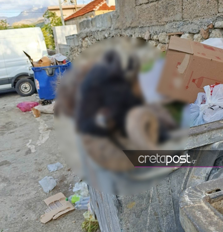 Κριάρι, κάδος απορριμμάτων, Ηράκλειο, Κρήτη