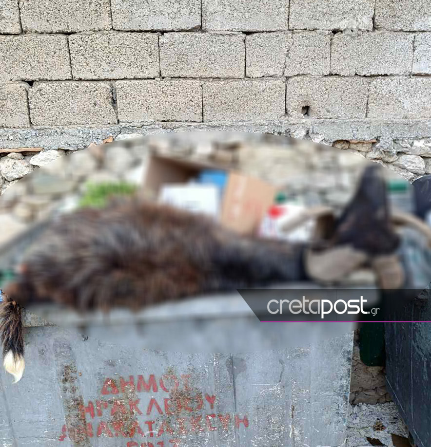 Κριάρι, κάδος απορριμμάτων, Ηράκλειο, Κρήτη