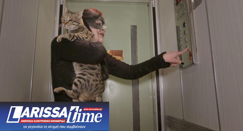 Τριήμερο στο ERTFLIX με αμέτρητες επιλογές<br>για ψυχαγωγία και διασκέδαση