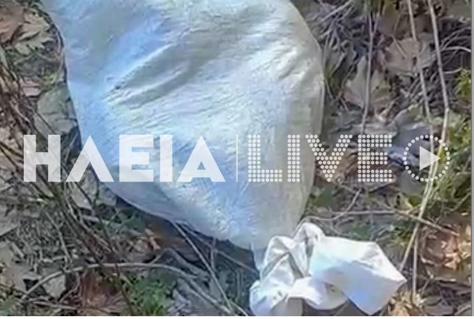 Ηλεία: Κουταβάκια δεμένα σε τσουβάλια