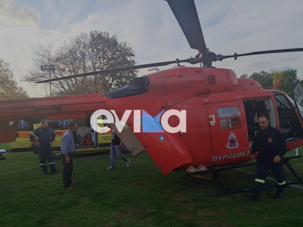 αεροδιακομιδή πυροσβέστη