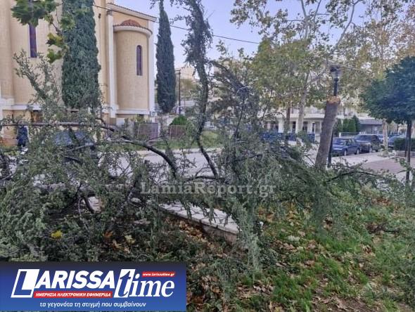 Εικόνα που δείχνει πεσμένο δέντρο πίσω από την εκκλησία του Αγίου Αθανασίου στη Λαμία