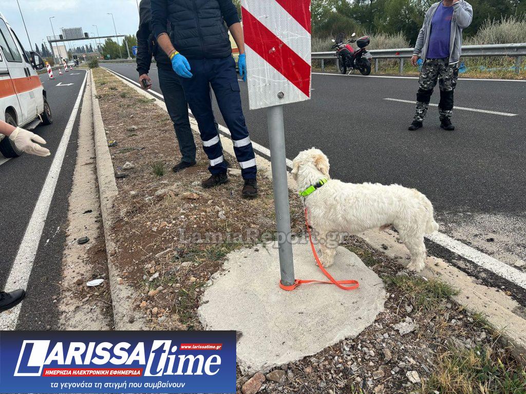 Πηγή φωτογραφίας: lamiareport.gr