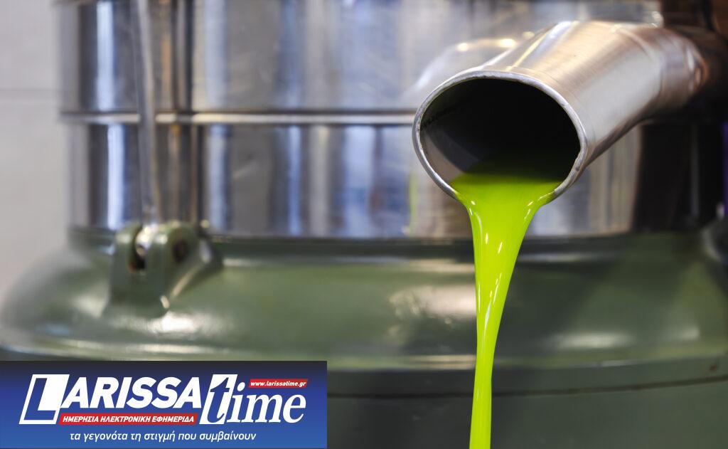 «Creating Roots»: Από το λιομάζωμα έως τη σύγχρονη παραγωγή ελαιολάδου – Φωτογραφική έκθεση από την WINARΤ