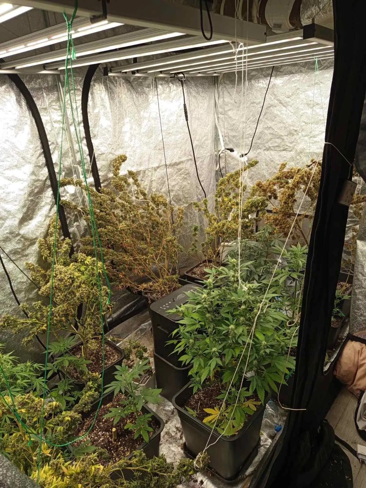 Άγιος Παντελεήμονας Συλλήψεις Ναρκωτικά