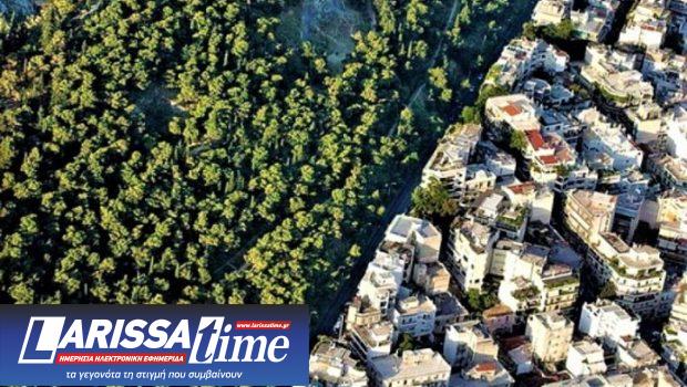 dasik-620x350.jpg