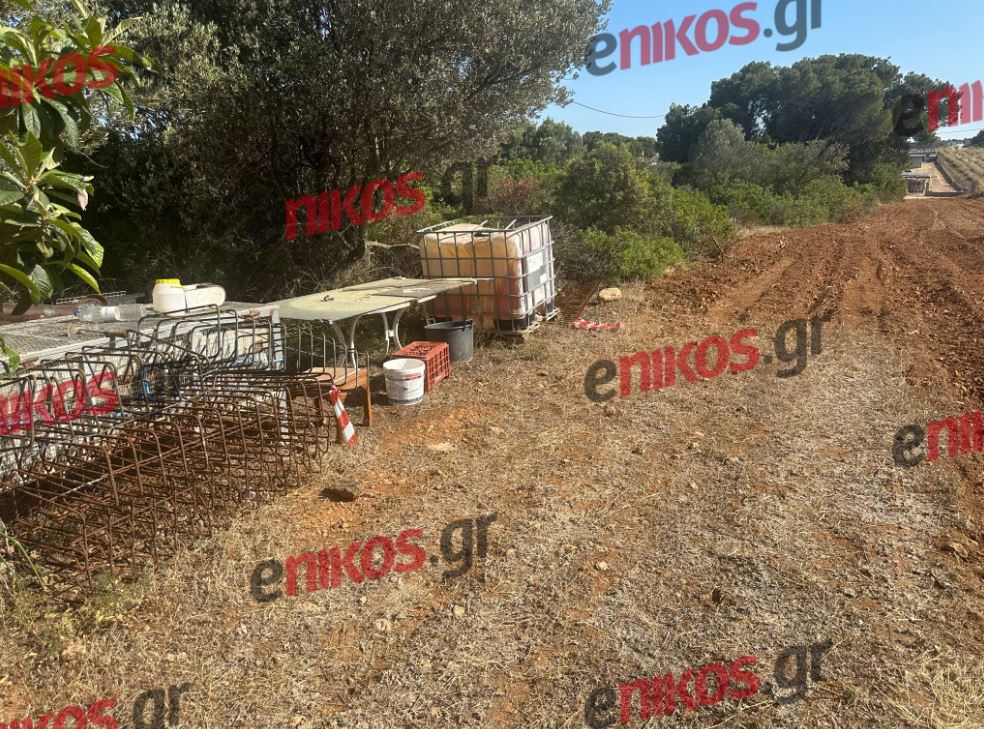 Ραφήνα δολοφονία