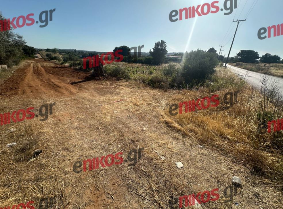 Ραφήνα δολοφονία