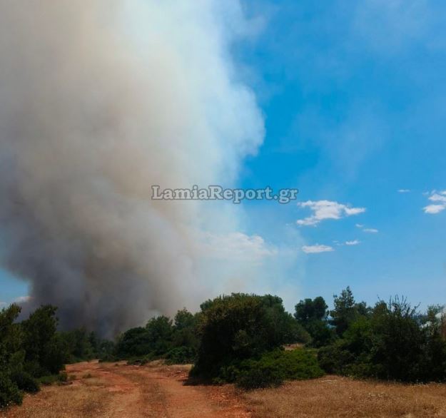 φωτιά, Ριτσώνα, Εύβοια