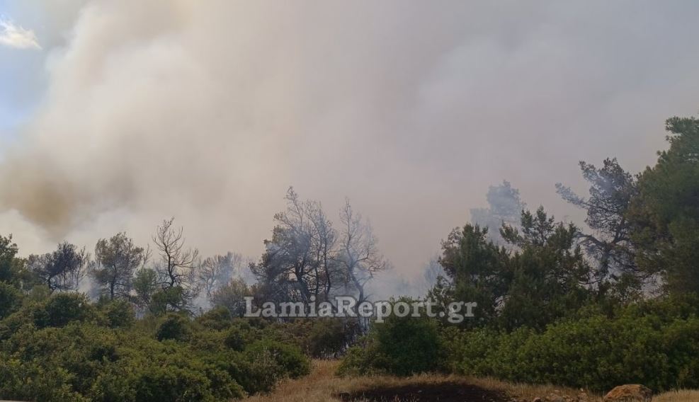 φωτιά, Ριτσώνα, Εύβοια