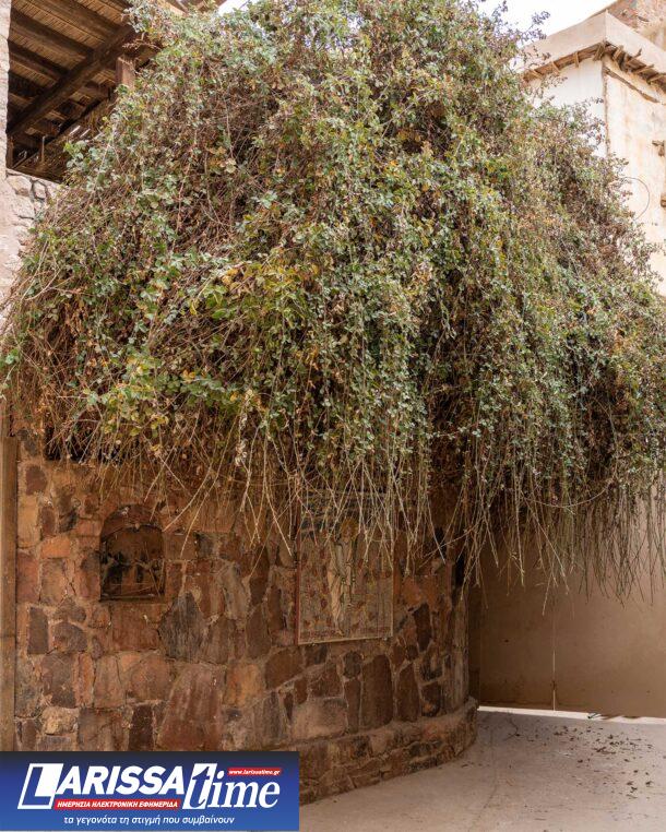 Μονή Ορους Σινά: ένα μικρό, συμπυκνωμένο Βυζάντιο-4