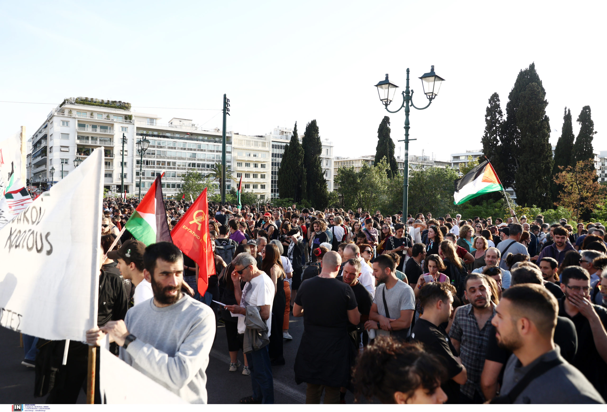  Σύνταγμα, Συγκέντρωση, Παλαιστίνη