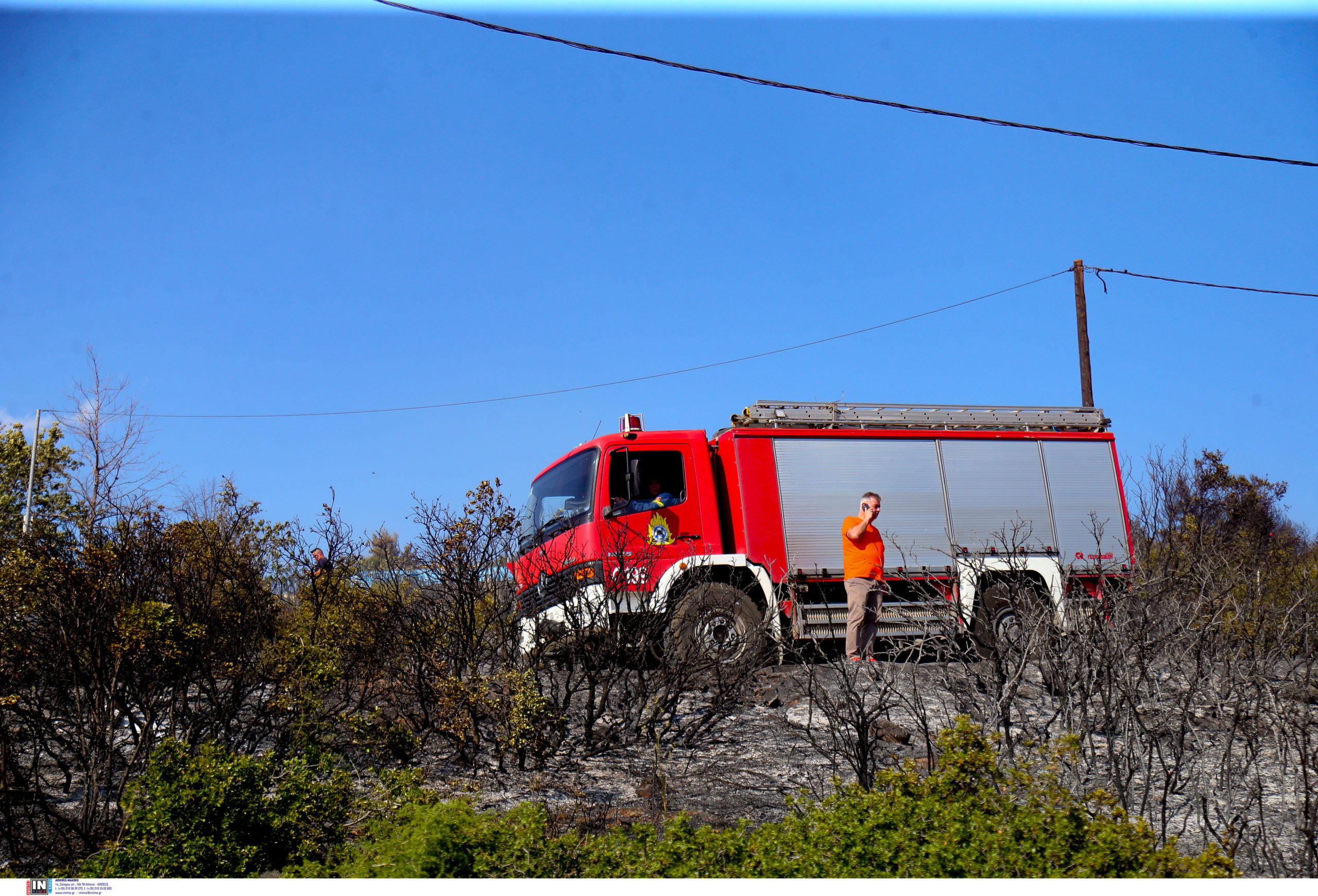 Φωτιά, Θεσσαλονίκη, Ευκαρπία