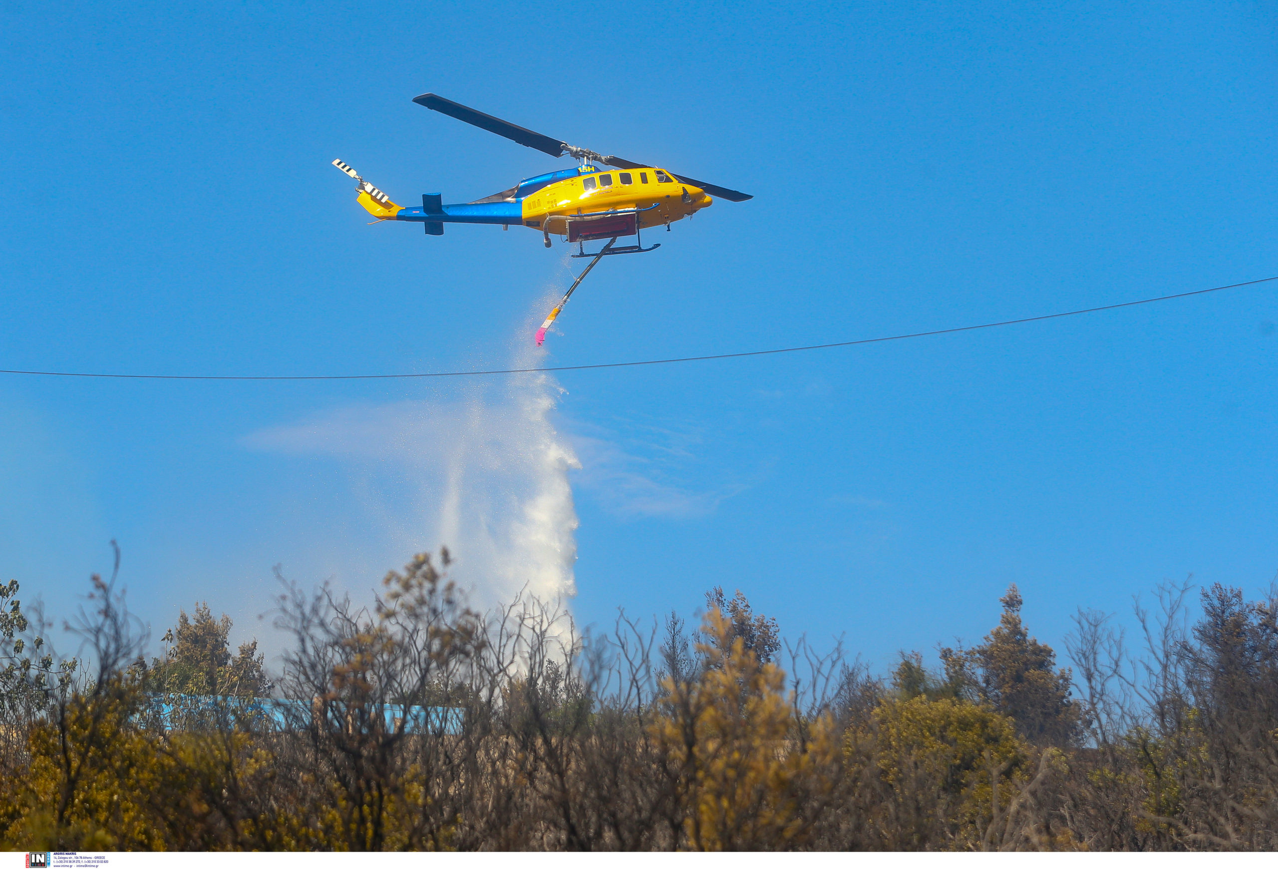 Φωτιά, Θεσσαλονίκη, Ευκαρπία