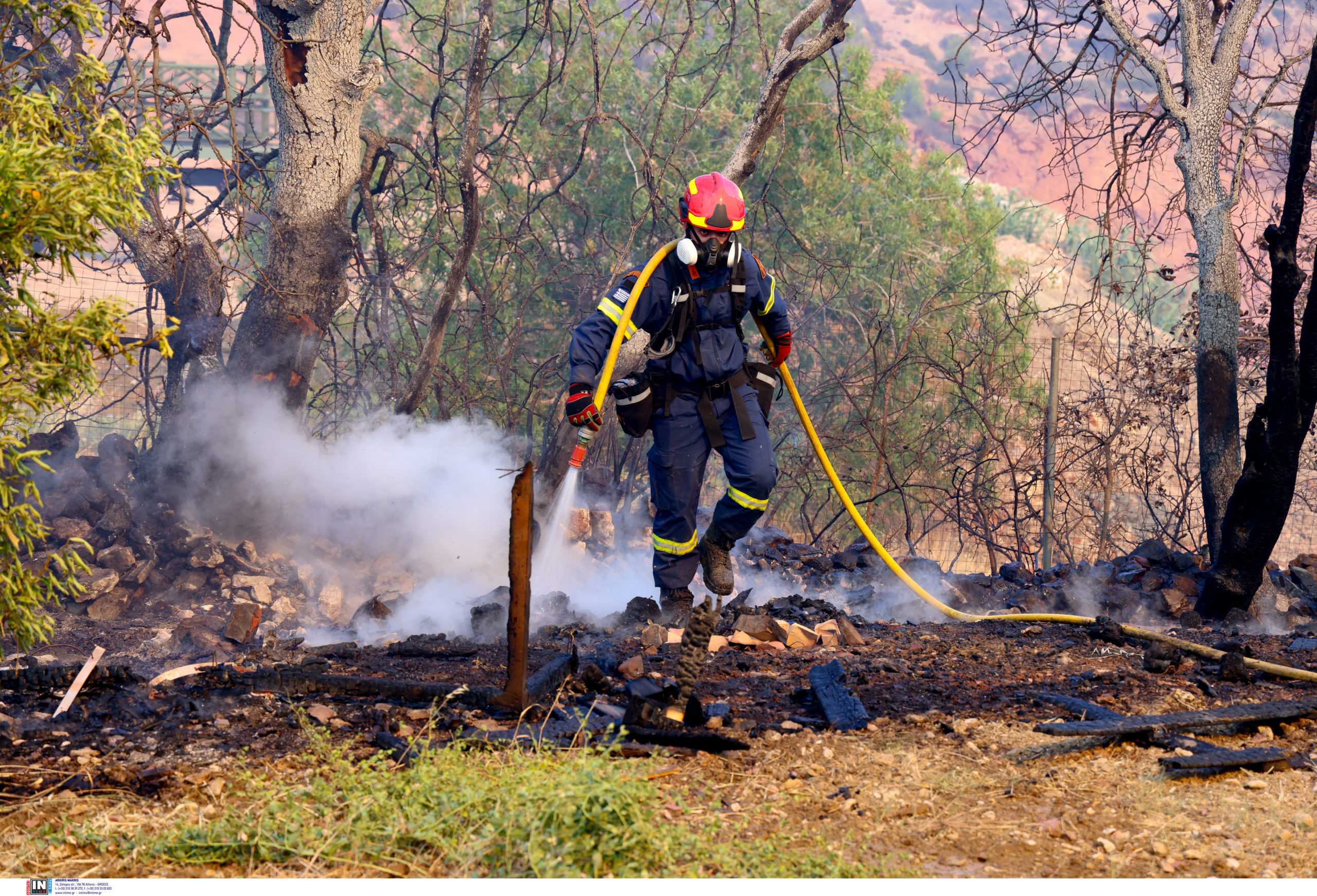 Χίος, φωτιά