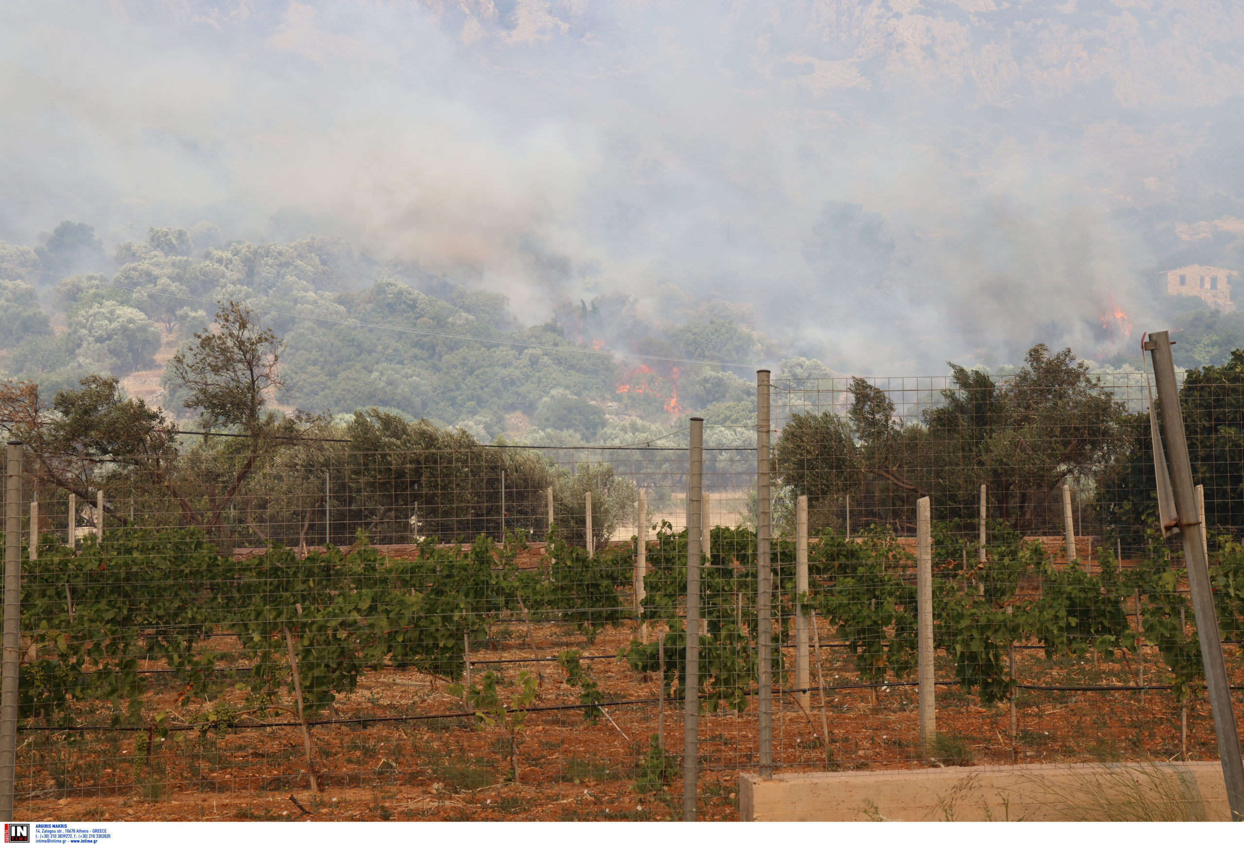 Χίος, φωτιά