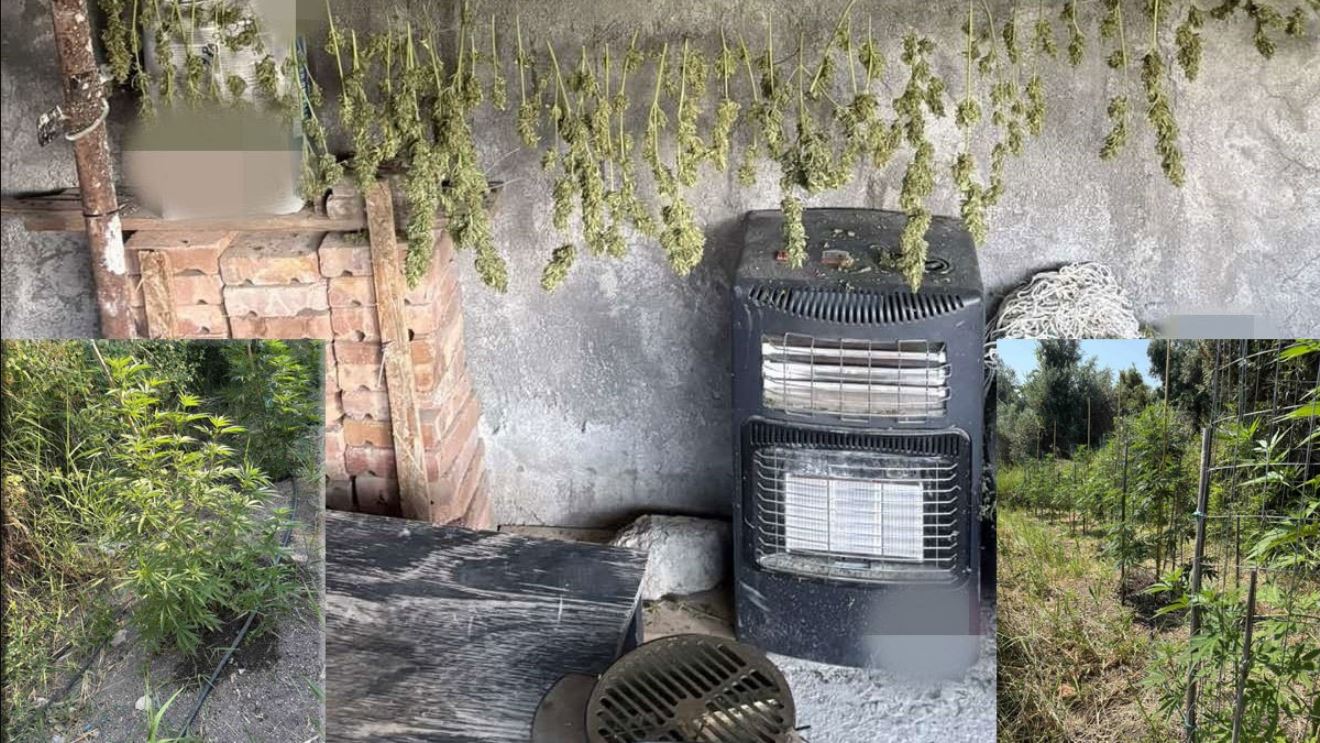 ΛΟΚΡΙΔΑ ΝΑΡΚΩΤΙΚΑ