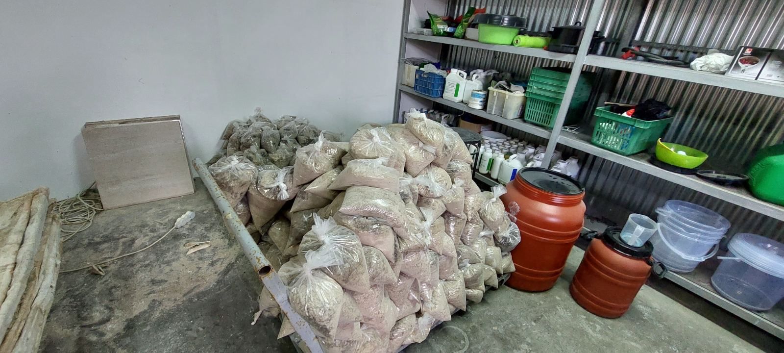 κοκαΐνη- νότια προάστια