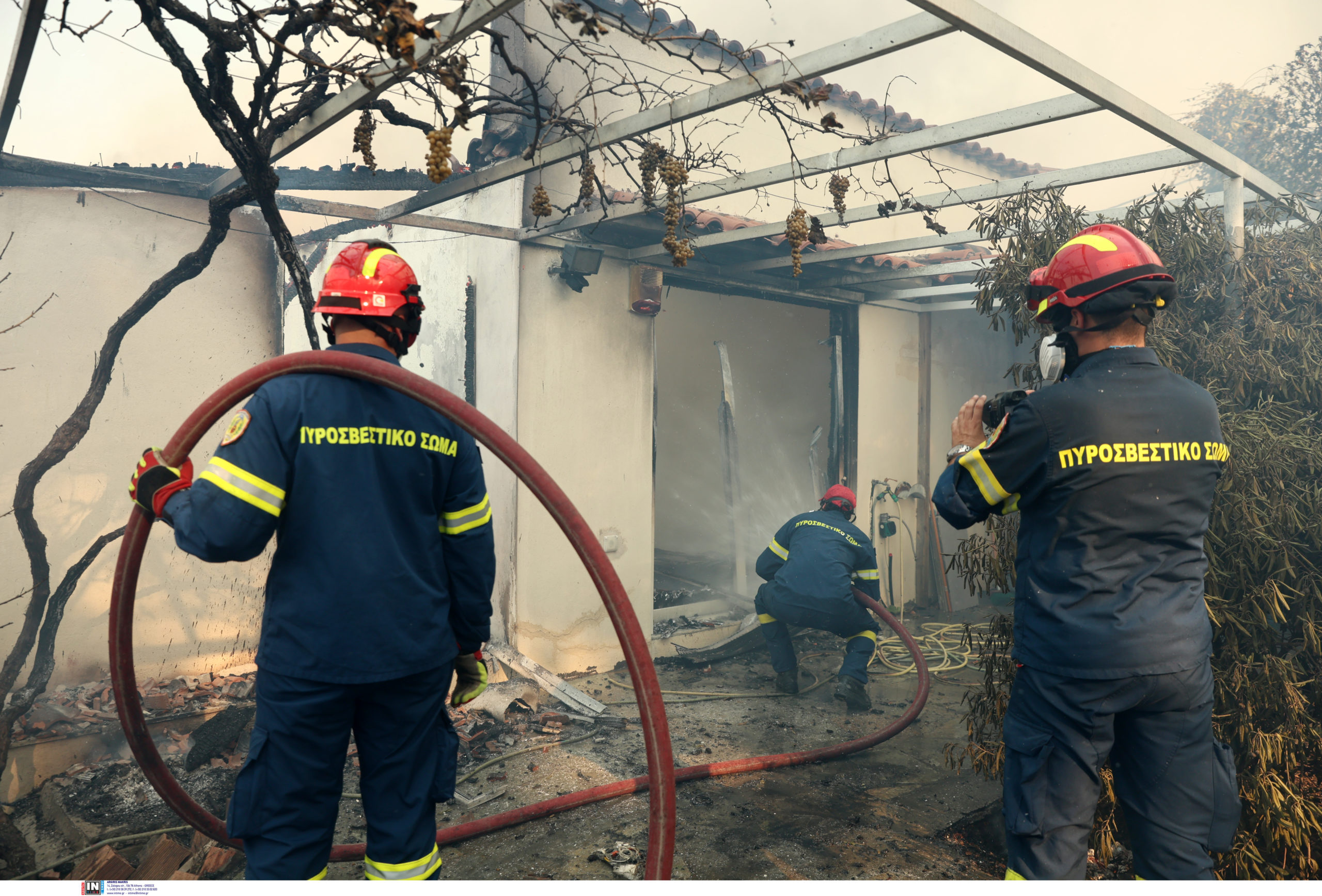 Φωτιά Αττική Κρυονέρι