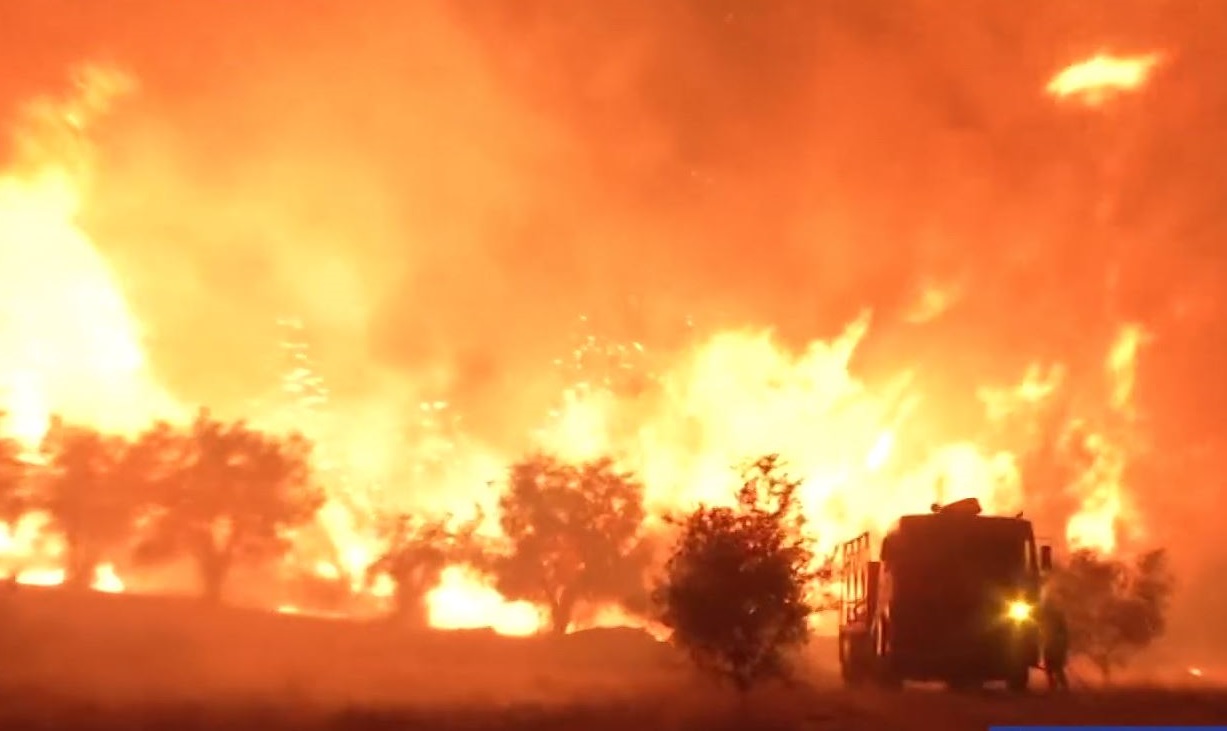 φωτιά, Ωρωπός, Αττική