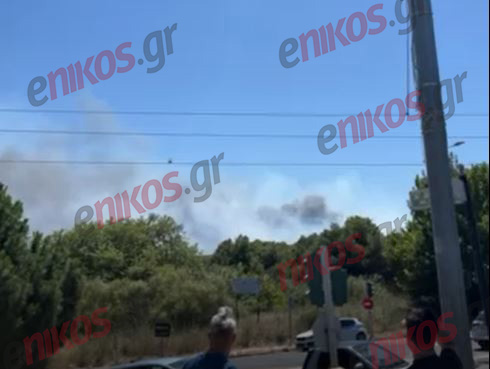 Φωτιά, Ραφήνα, Μαραθώνος