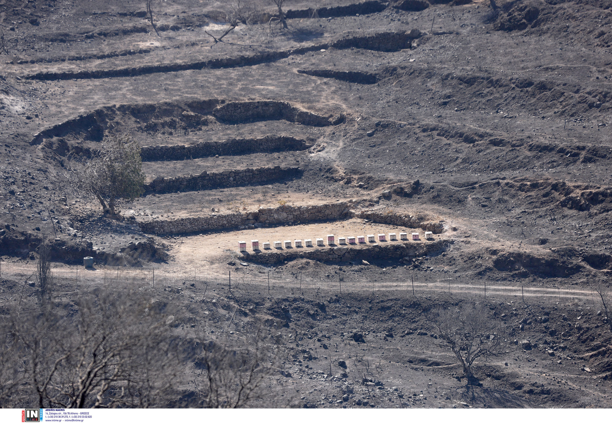 Χανιά, φωτιά, Τεμένια 
