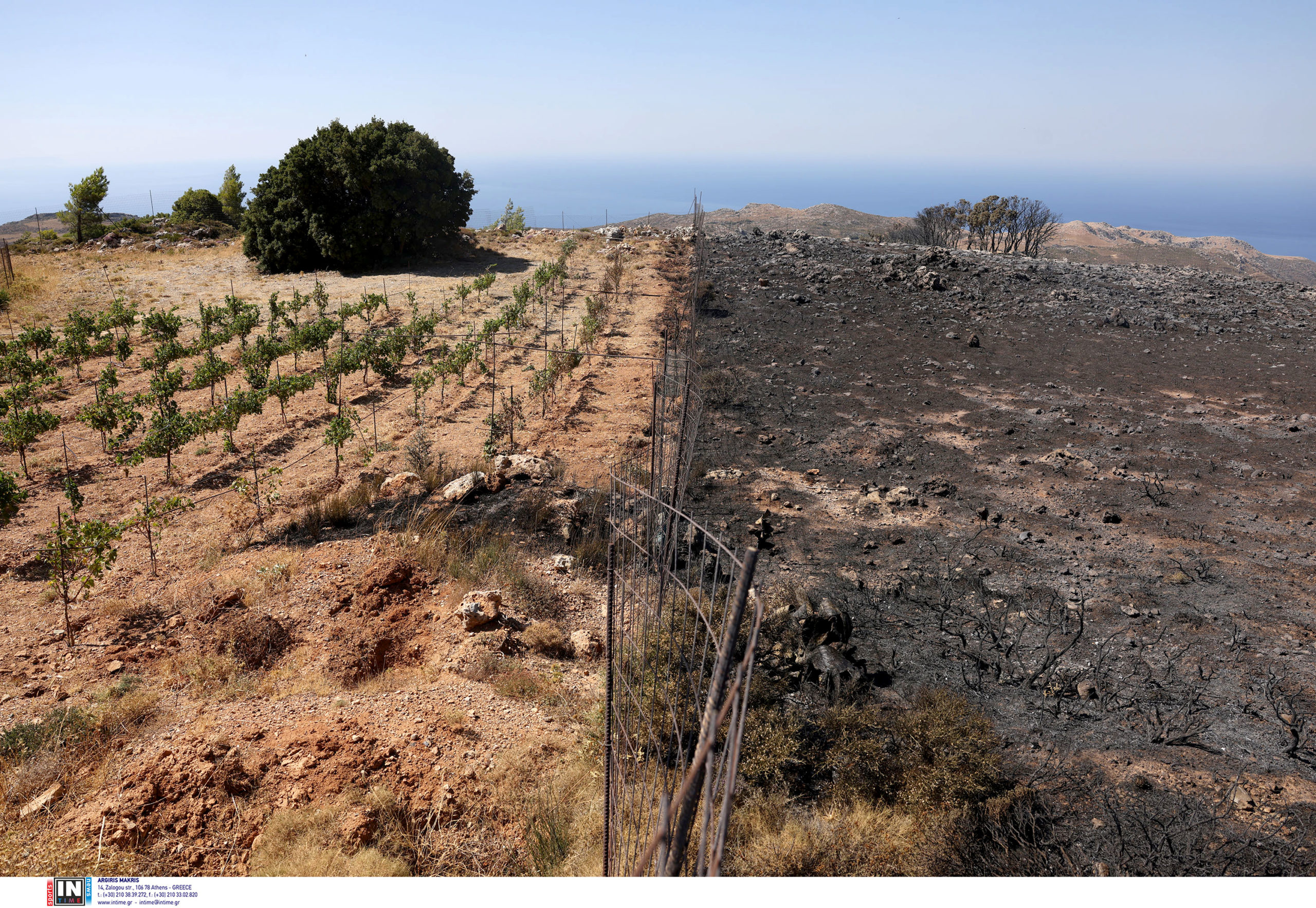 Χανιά, φωτιά, Κρήτη