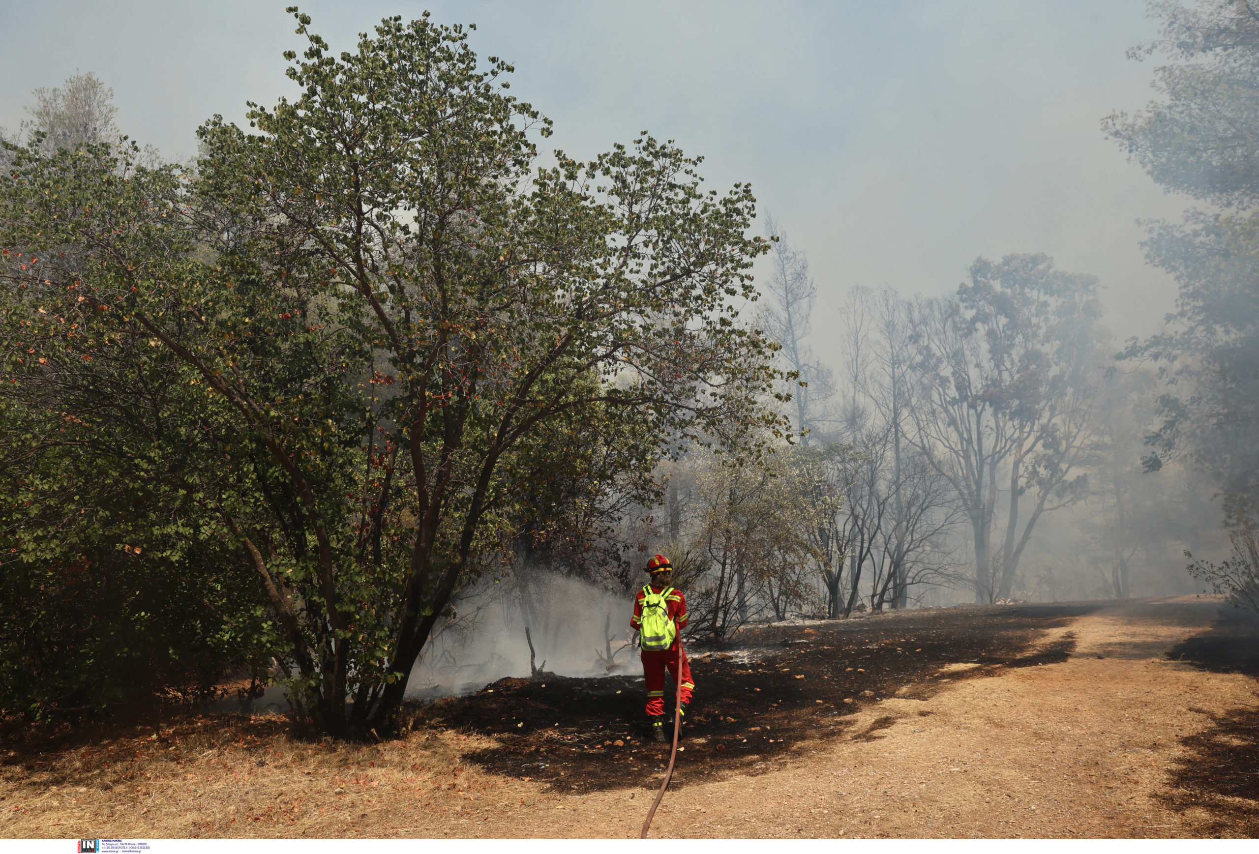 φωτιά, Ζωγράφου, Αττική, Πανεπιστημιούπολη