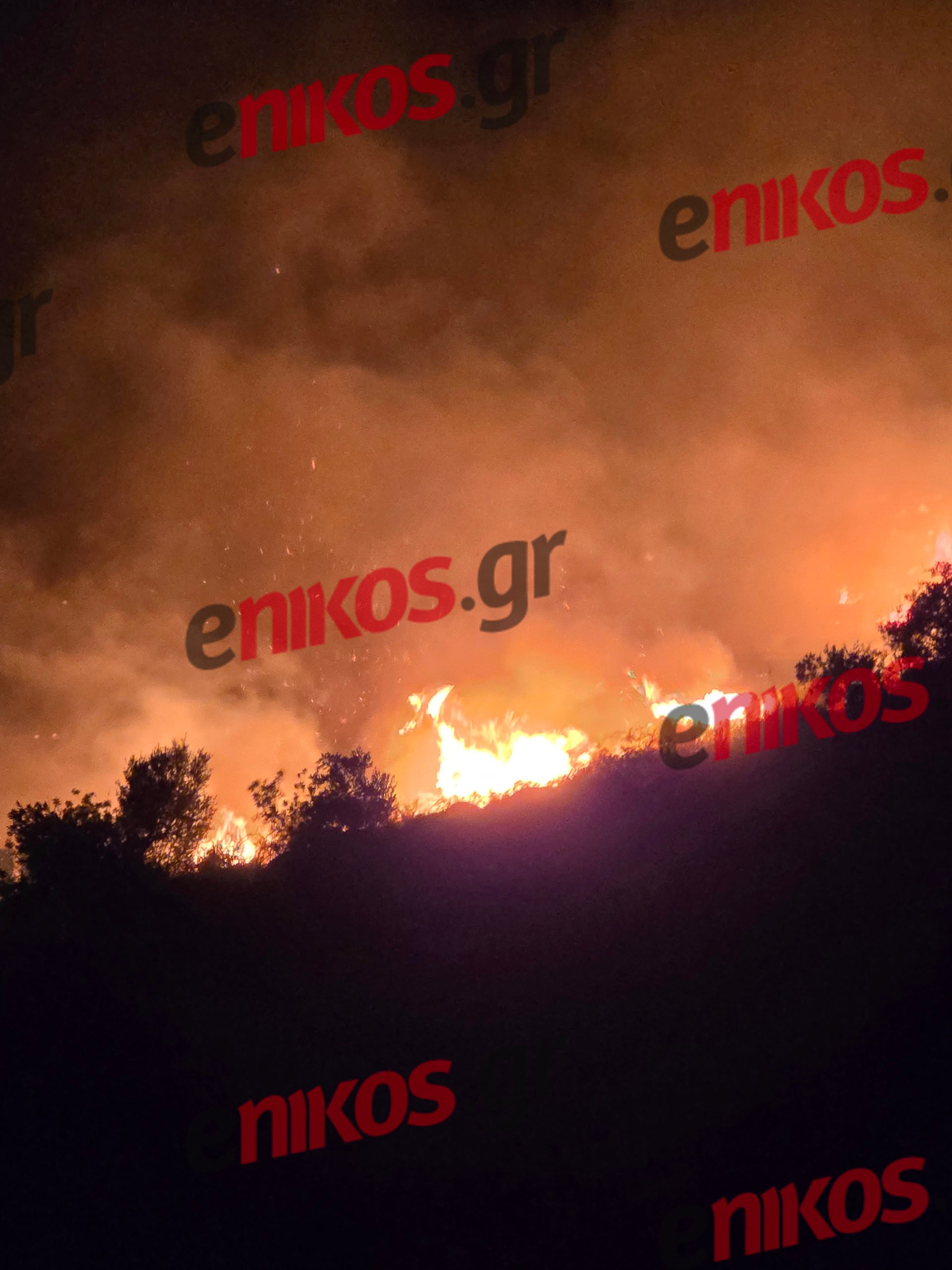 Φωτιά Κεφαλονιά